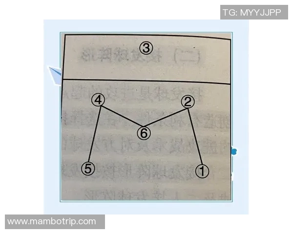 西安排球队战术分析：为何他们在排球战术排行榜中高居第二名